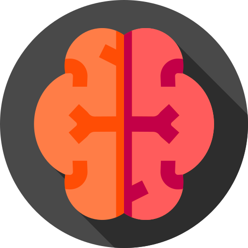 017 Brain